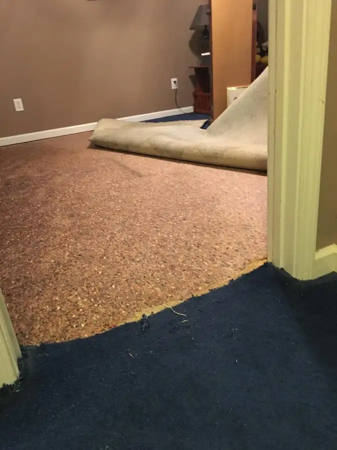 Carpet pad removal revealing water damage during Drying & Dehumidification in Clawson