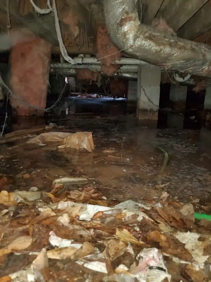 Crawl space flood assessment for Leak Detection & Repair in Clawson