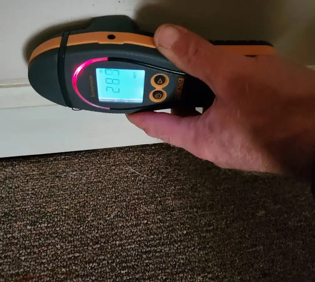 Moisture detection at baseboard during Sewage Cleanup & Sanitation in Clawson